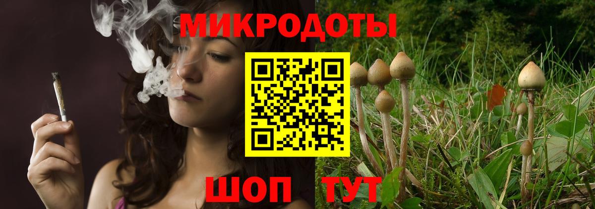 Сухой Лог  Псилоцибиновые грибы Psilocybe  Вход с VPN  Галлюциногенные грибы GOLDEN TEACHER 