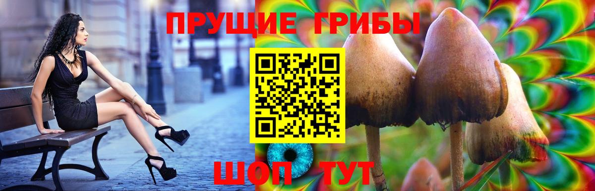 Галлюциногенные грибы GOLDEN TEACHER Сухой Лог